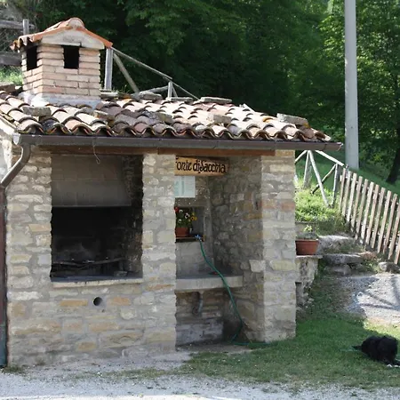 Séjour à la ferme Sacchiafarm